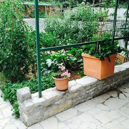 招待所 海景旅馆